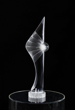 ELVINO MOTTI - TRASPARENZE 3 - 2021 - Metacrilato 17x12x56h - foto 1.jpg